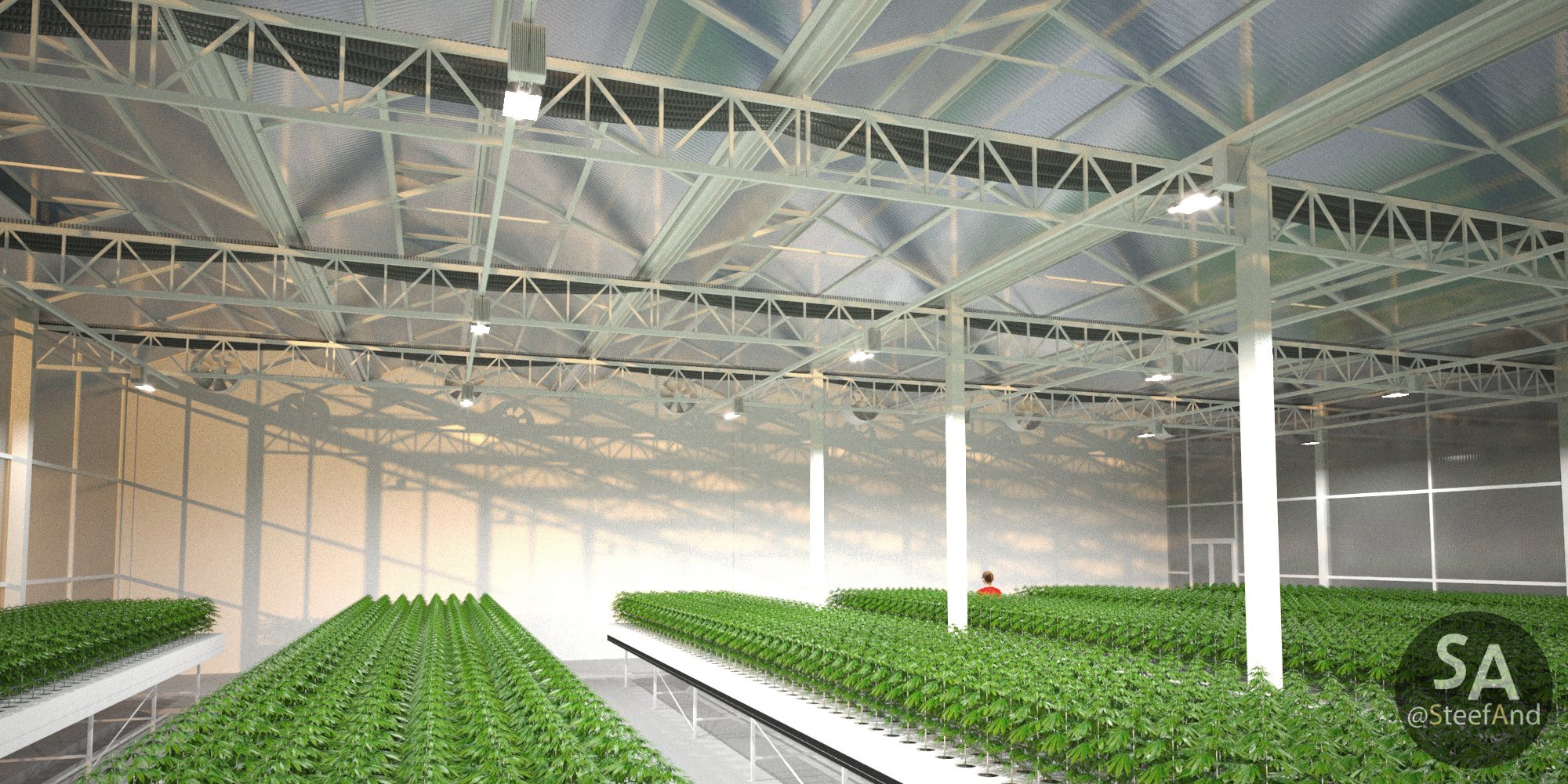 Greenhouse photo 2