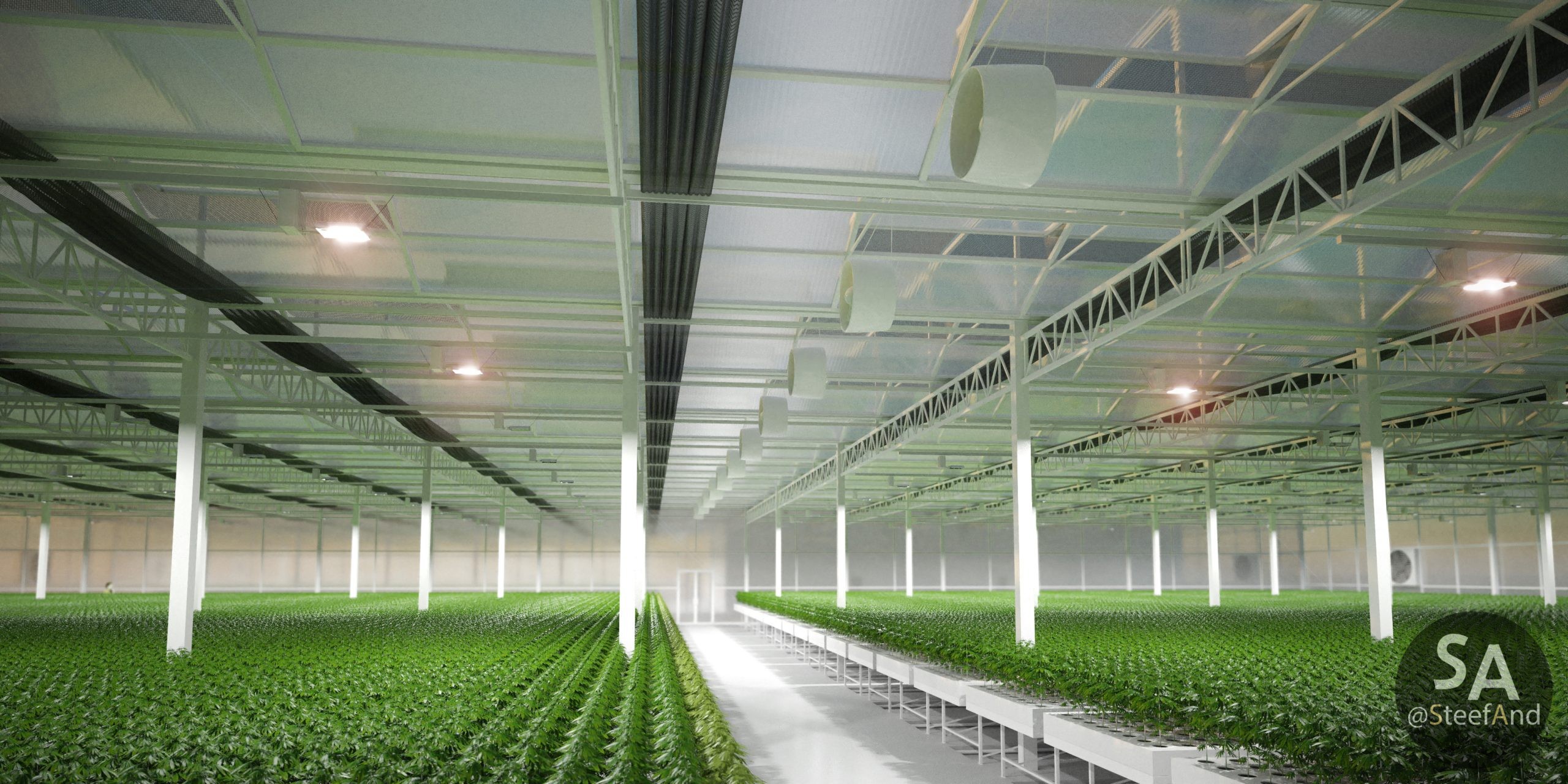 Greenhouse photo 3