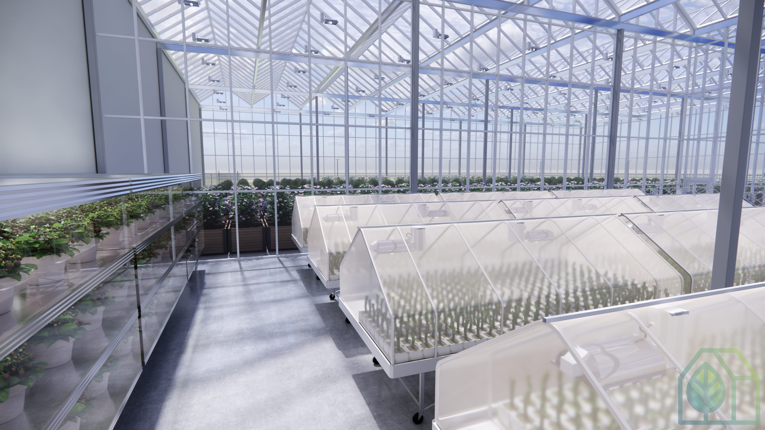 Industrial Greenhouse photo 5