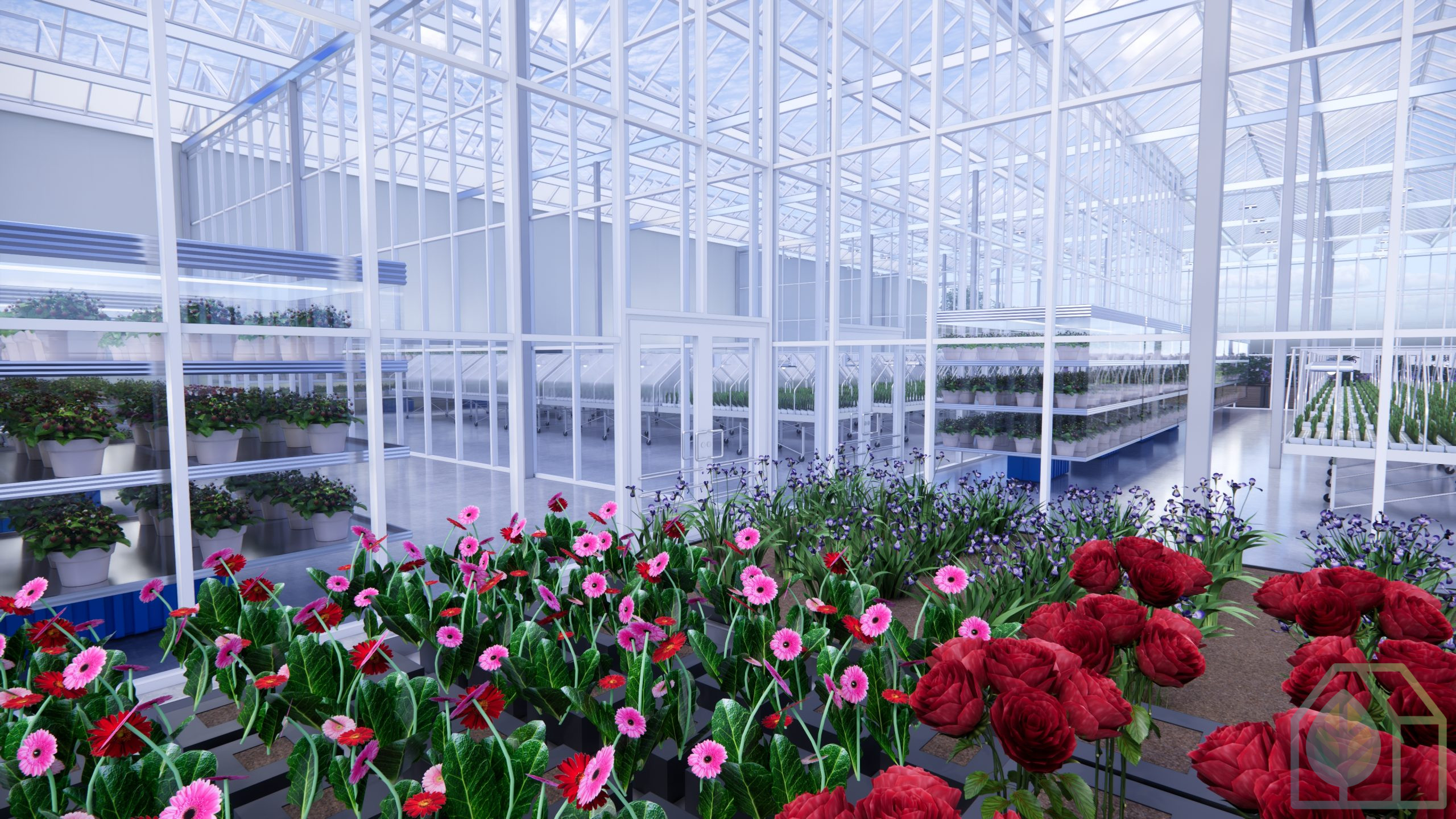 Industrial Greenhouse photo 7